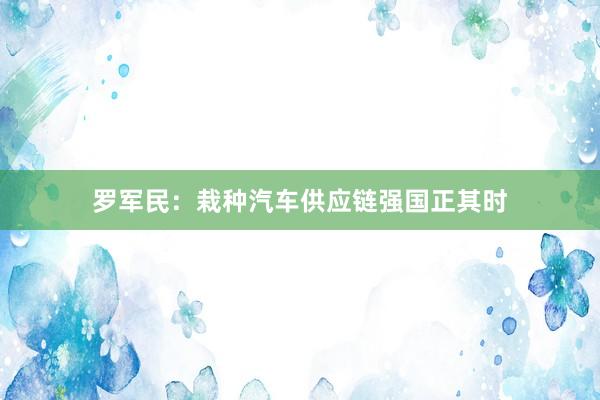 罗军民：栽种汽车供应链强国正其时