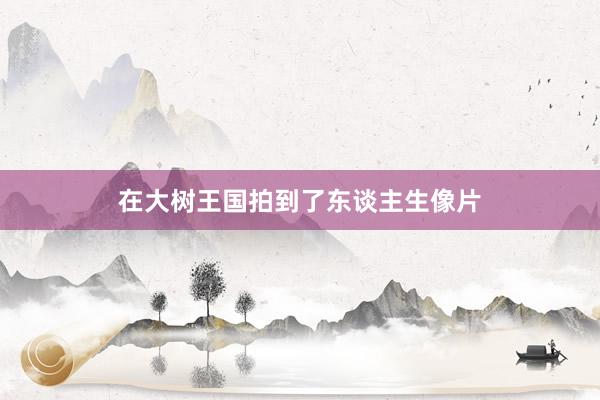 在大树王国拍到了东谈主生像片