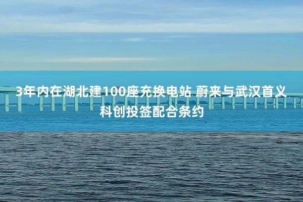 3年内在湖北建100座充换电站 蔚来与武汉首义科创投签配合条约
